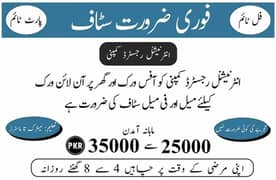 male or female staff required for home base and office base work