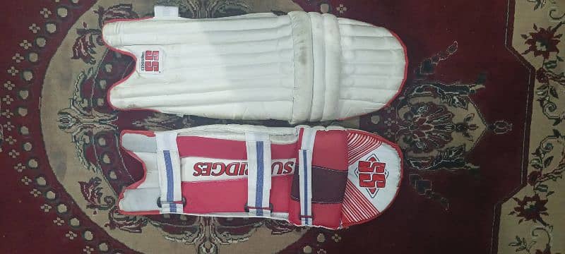Cricket kit for lefti Batter Pads, Batt, Gloves, Helmet, Guard. 4