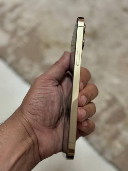 iphone 12 pro max pta approved 5