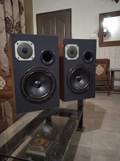 Custom Made Speakers For sale