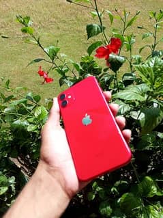 iphone 11 Red