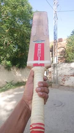 Hardball cricket bat