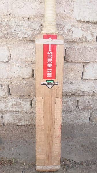 Hardball cricket bat 1