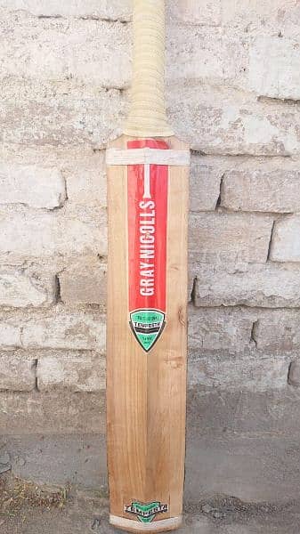 Hardball cricket bat 2