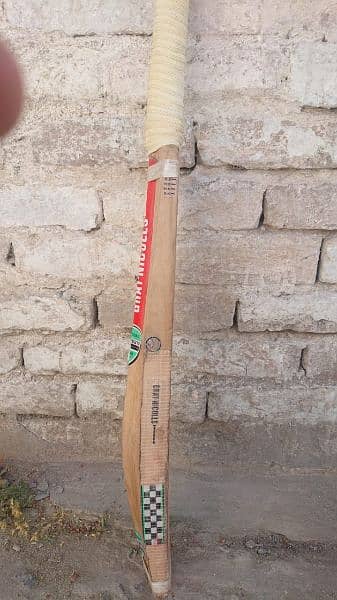 Hardball cricket bat 3