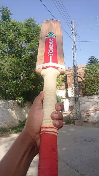 Hardball cricket bat 4