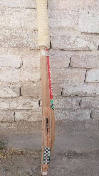 Hardball cricket bat 5