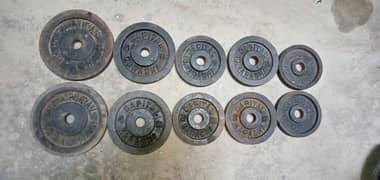 Weights for Body Builder