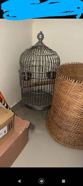 Dog and bird cage 1