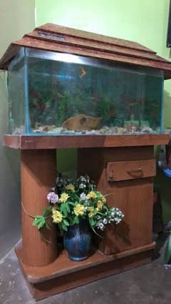 Fish Aquarium URGENT SALE