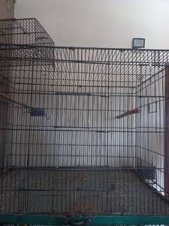 used cage big . 1 portion size 3 x 2 x2