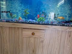 Fish Aquarium (4ft X 2ft) with wooden table