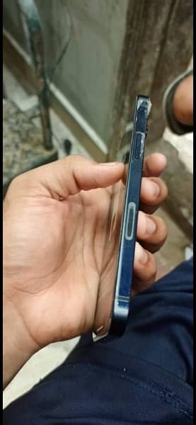 iPhone 12 jv condition 10 by 10 lush 4