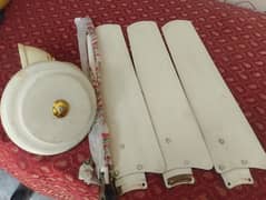 Super Asia Ceiling Fan good condition