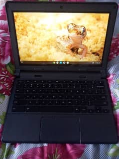 Dell Chromebook Touch screen Laptop | Ram:4Gb Memory:16Gb