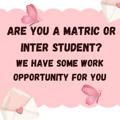 Work Opportunities for Matric and Inter Students 0