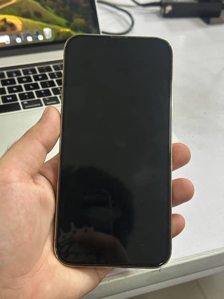 Iphone 13 Pro Max (Gold), 256, 86% 5