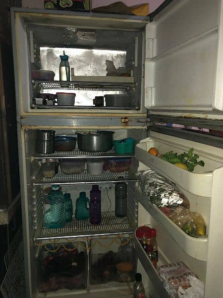 full size dowlene fridge 9