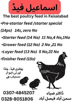 poultry feed (special feed for aseel) poultry feed and wanda available