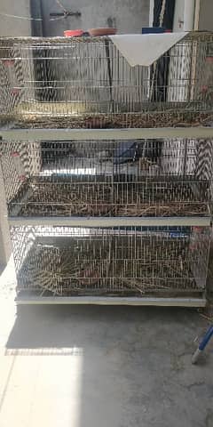 3 portion Rabbit Cage