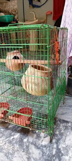 birds cage condition 10/9 steal medium size