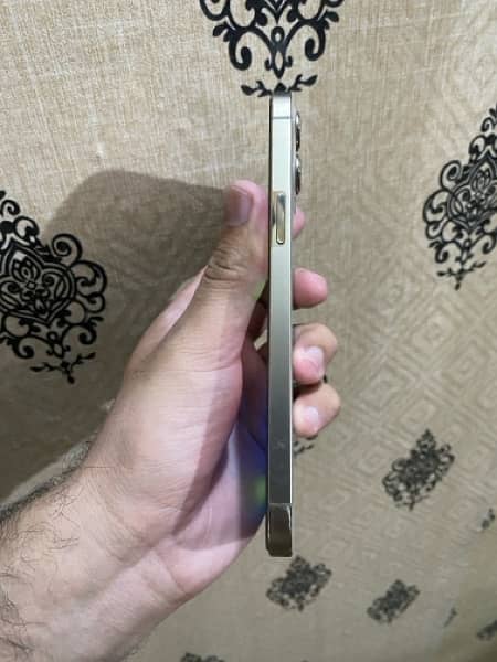iPhone 12 Pro Max officially Pta approved 3