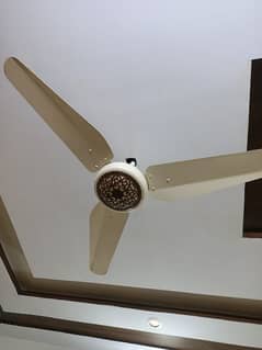 Sk Excetive Fans 56 inches For Sale