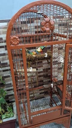 big size cage