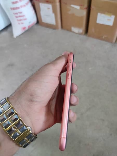 iphone xr Pta approved 64 GB for more information contact on watsapp 6