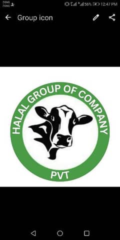Halal Dairy and Cattle