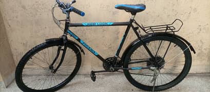 Brand New Phoenix Cycle For Sale