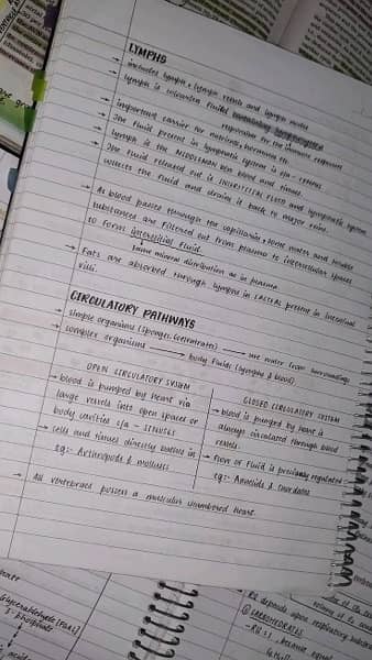 handwriting assignment work assign 11