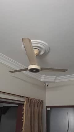 Fan 70Watt - Pakfan ceiling - Working