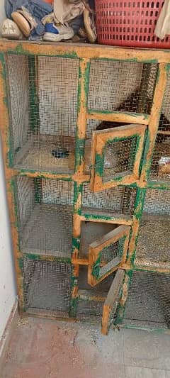 Hen Cage, Bird's Cage with 6 compartment