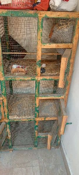 Hen Cage, Bird's Cage with 6 compartment 1