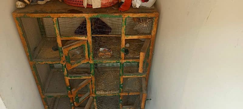 Hen Cage, Bird's Cage with 6 compartment 3