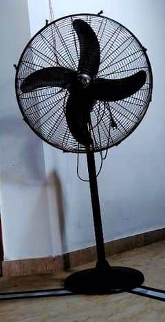 A strong fan is for sale 0