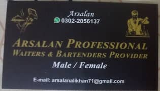 professionals waiters provider All Karachi male/female