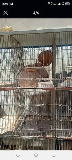 12 portion cage for sell