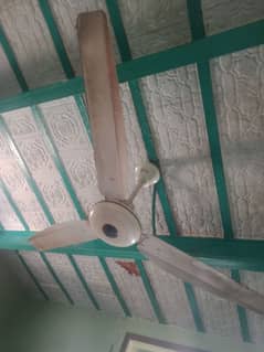 pedestal fan ceiling fan air coloar
