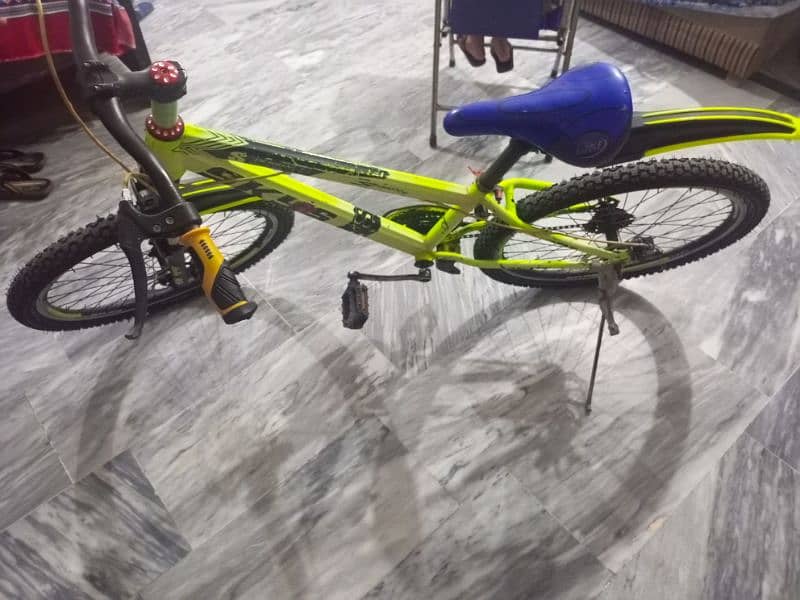 Sport Bicycle 1