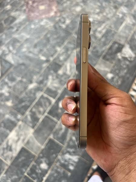 I phone 14 Pro Max 256 gb (Dual Sim PTA Approved) (Golden) 2