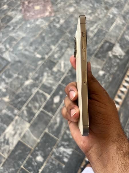 I phone 14 Pro Max 256 gb (Dual Sim PTA Approved) (Golden) 3