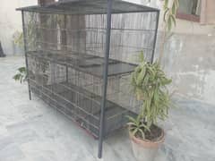 Birds Cage  (8  Portions)