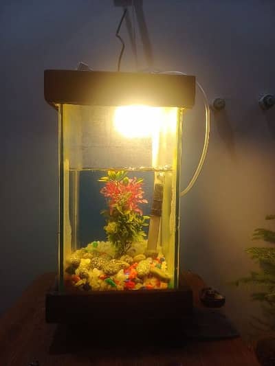 Fish Aquarium