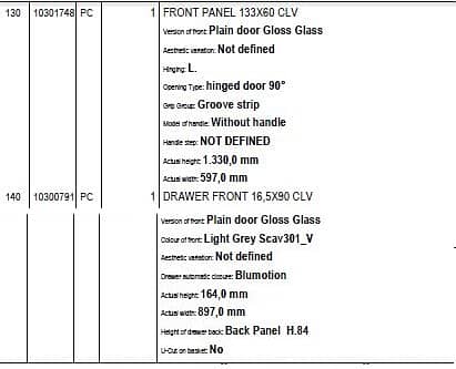 SCAVOLINI ITALIAN GLASS KITCHEN DOORS (QTY 23) 12