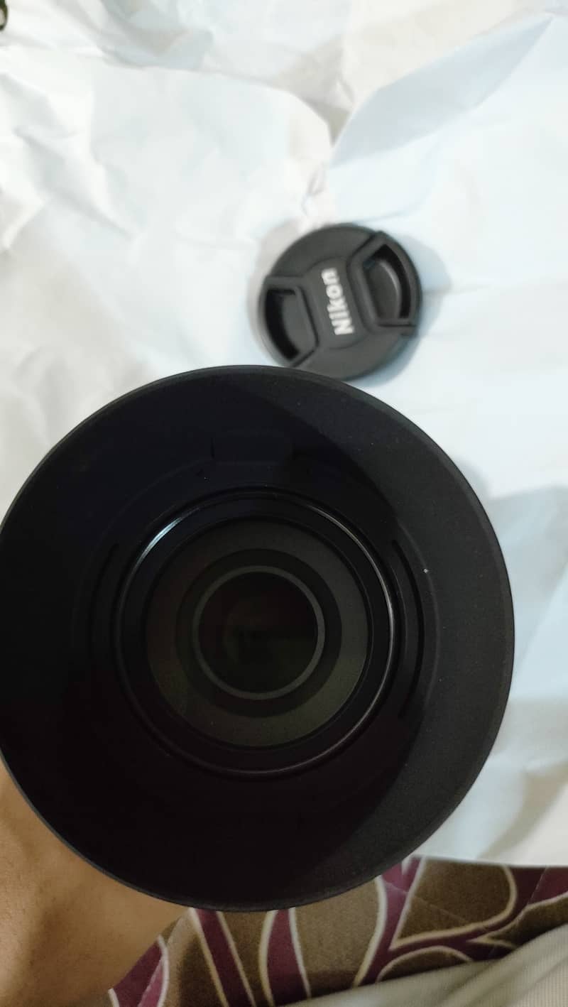 Nikon DX 55-300mm VR lens 2