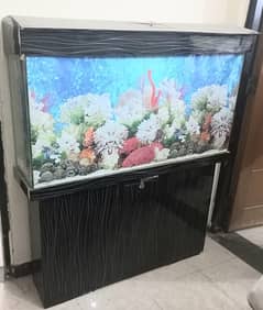 fish Aquarium 0