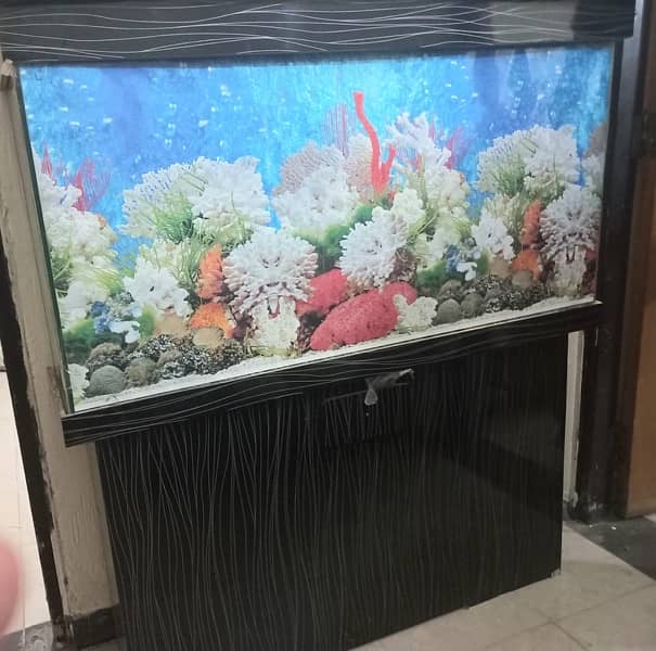 fish Aquarium 3