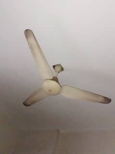 100% copper fan working condition